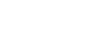 vizer logo