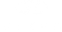 vizer logo